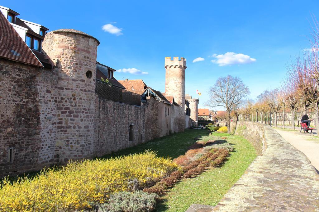 Отель Vvf Plaine D'Alsace Obernai Strasbourg Экстерьер фото