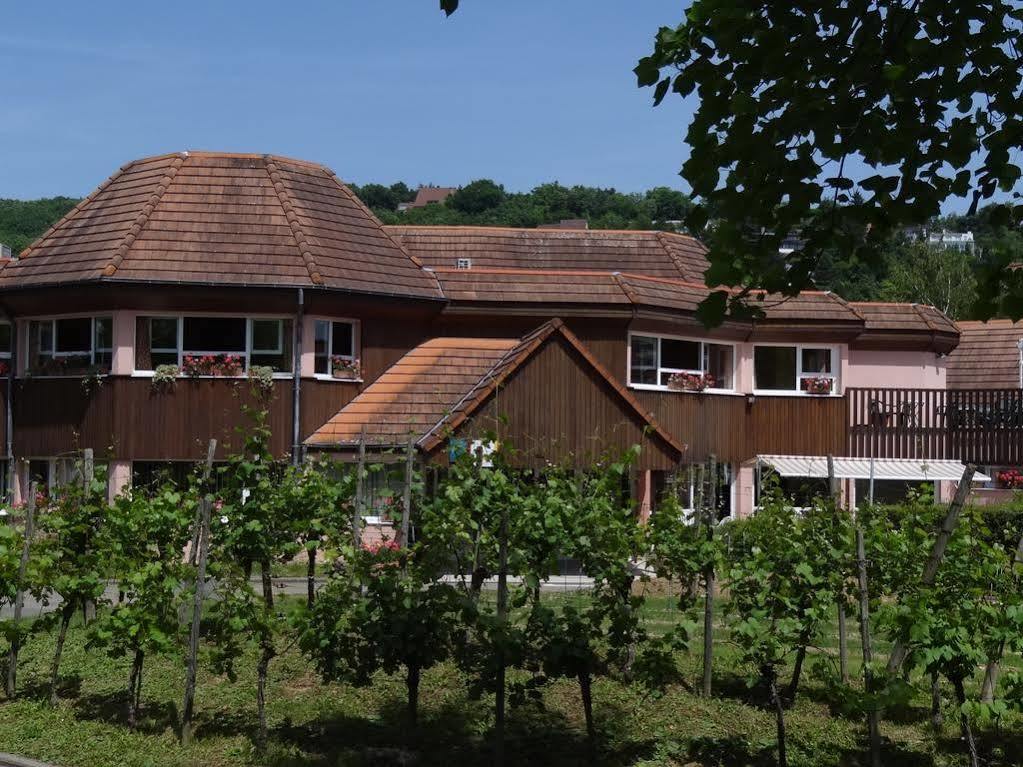 Отель Vvf Plaine D'Alsace Obernai Strasbourg Экстерьер фото